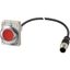 Illuminated pushbutton actuator, Flat, maintained, 1 NC, Cable (black) with M12A plug, 4 pole, 1 m, LED Red, red, Blank, 24 V AC/DC, Metal bezel thumbnail 3