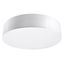 CEILING LAMP ARENA 55 WHITE E27 4X60W IP20 thumbnail 5