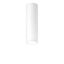 P-INF SC R70 800-930 LDO VFL-WH WH - LED surface-mount ceiling luminaire thumbnail 1