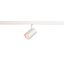 NUMINOS® XS 48V TRACK DALI, spot, white / white, 8.7W, 650lm, 2700K, CRI90, 40° thumbnail 1