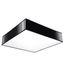 CEILING LAMP HORUS 45 BLACK E27 3X60W IP20 thumbnail 2
