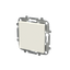 Blank plate thumbnail 2