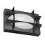 BLIZ OVAL 21 S/EW 830 ANTHRACITE thumbnail 1