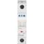 Miniature circuit breaker (MCB), 50 A, 1p, characteristic: C thumbnail 2