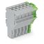 1-conductor female connector Push-in CAGE CLAMP® 4 mm² gray, green-yel thumbnail 1