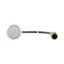 C22-DL-W-K10-24-P1 Illuminated pushbutton actuator, Flat, momentary, 1 N/O, Cable (black) with M12A plug, 4 pole, 0.2 m, LED white, White, Blank, 24 V AC/DC, Bezel: tita thumbnail 8