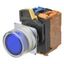Pushbutton A22NL Ã˜22, bezel brushed metal, FULL GUARD, MOMENTARY, CAP A2223314F thumbnail 1