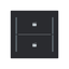 LFST/A.2.70.1-45M Cover plate with legend with Symbol "scene" black matt - Trevion® thumbnail 1