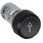 CP9-1016 Pushbutton thumbnail 2