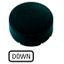 M22-XDH-S-GB4 Button plate, raised black, DOWN thumbnail 1