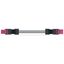 pre-assembled interconnecting cable Eca Socket/plug pink thumbnail 2