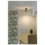 FITU, ceiling light, A60, black, with R2 canopy thumbnail 3