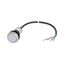 C22-DL-W-K10-24-P65 Illuminated pushbutton actuator, Flat, momentary, 1 N/O, Cable (black) with non-terminated end, 4 pole, 3.5 m, LED white, White, Blank, 24 V AC/DC, Be thumbnail 2