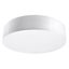 CEILING LAMP ARENA 55 WHITE E27 4X60W IP20 thumbnail 1