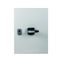 DMM-160/3/SE4/P-G Switch-disconnector, DMM, 160 A, 3 pole, STOP function, with grey knob, in steel enclosure thumbnail 6
