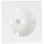 COVER PLATE F/EARTH SOCKET (SKO TYPE) WHITE thumbnail 2