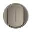 COVER PLATE INDICATOR CELIANE TITANIUM thumbnail 4