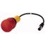 C22-PV-K02-P10 Emergency stop/emergency switching off pushbutton, Mushroom-shaped, 38 mm, Pull-to-release function, 2 NC, Cable (black) with M12A plug, 5 pole, 0.2 m thumbnail 1