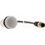 C22-L-W-24-P1 Indicator light, Flat, Cable (black) with M12A plug, 4 pole, 0.2 m, Lens white, LED white, 24 V AC/DC thumbnail 4