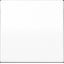 Cover plate, white AS591WW thumbnail 1