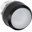 MP1-11W Pushbutton thumbnail 3