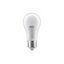 LED LIGHT, A60, 6400K, E27, 15W, AC220-240V, 180°, 1320lm, 130 mA thumbnail 1