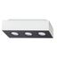 SPOT MONO 3 WHITE GU10 3X40W IP20 thumbnail 3