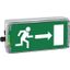 Ex-escape sign luminaires EXIT N with integrated emergency light function for zone 1/21, Pictogram: EN 1838, Arrow: 3 Clock thumbnail 6