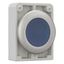 M30C-FDRL-B Illuminated pushbutton actuator, RMQ-Titan, Flat, maintained, Blue, Blank, Metal bezel thumbnail 13