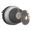 M22-WRS-MS6 Key-operated actuator, maintained, 2 positions, MS6, Key withdrawable: 0, I, Bezel: titanium thumbnail 6