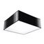 CEILING LAMP HORUS 25 BLACK E27 1X60W IP20 thumbnail 3