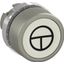 P9MPNBG030 Pushbutton thumbnail 1