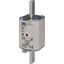 NH1/WT-1 gF 40A/500V G thumbnail 1