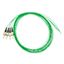 FO Pigtail ST, 50/125æm OM2, 2.0m, Easy Strip, green, 4pcs thumbnail 6