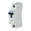 Miniature circuit breaker (MCB), 32 A, 1p, characteristic: Z thumbnail 8