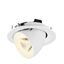 NUMINOS® GIMBLE M 4000K 20° white/white thumbnail 3