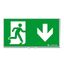 PURESIGN 150 MSW/MRW SP1-E002-D ERI SR - Escape sign thumbnail 1