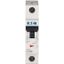 Miniature circuit breaker (MCB), 32 A, 1p, characteristic: Z thumbnail 2