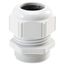 SKINTOP ST-M 32x1,5 RAL 7035 LGY thumbnail 2