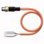 Actuator and Sensor Cable, PUR Connection Cable   RSC4.4T-2/TXO thumbnail 1