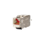 25Gmodul - Keystone thumbnail 3