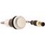 C22-D-W-K10-P3 Pushbutton, Flat, momentary, 1 N/O, Cable (black) with M12A plug, 4 pole, 0.5 m, White, Blank, Bezel: titanium thumbnail 4