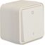 2-pole switch with housing, W.1, polarity white thumbnail 1