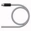 Supply Cable - M12 Power Connection Cable   RSS56PLB-0.5/TXG thumbnail 1