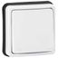 Switch Plexo 66 - 1 gang - 2 way - 20 A - 250 V~ - flush mounting thumbnail 1