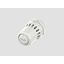 Spare Part Piston Kit WVS/WVTS 50 thumbnail 1