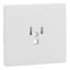 SAF C.PLATE F/EARTH SOCKET (USA NEMA) WHITE thumbnail 1