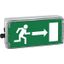 Ex-escape sign luminaires EXIT for zone 1/21, Pictogram: EN 1838, Arrow: 3 Clock thumbnail 2