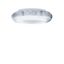 AMP RS 3000-840 LDO V2A - moisture-proof diffuser luminaire thumbnail 1