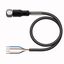 Actuator and Sensor Cable, PVC Connection Cable   RKCV4.4T-2/TEL thumbnail 2